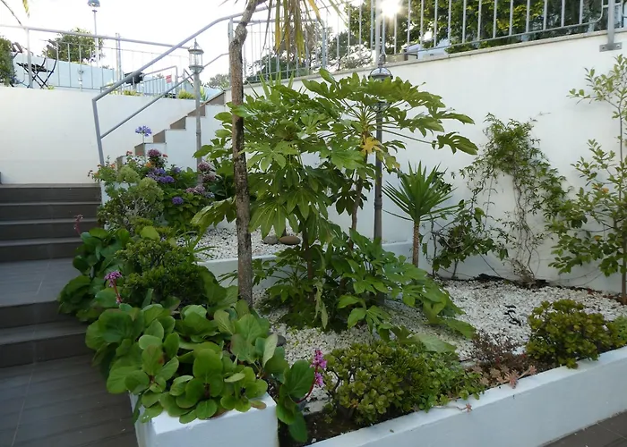 Дом отдыха Casa Do Cabedelo